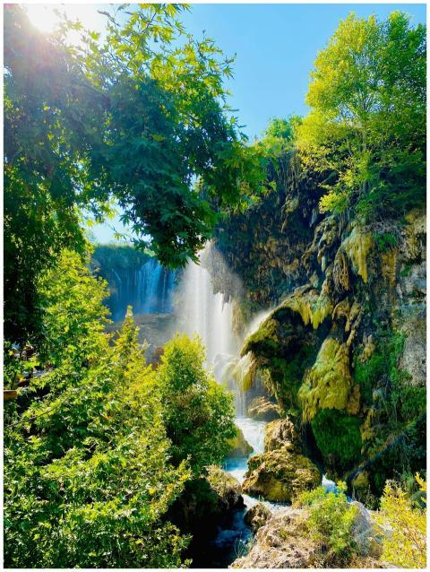 A magnificent waterfall cascades through vibrant g