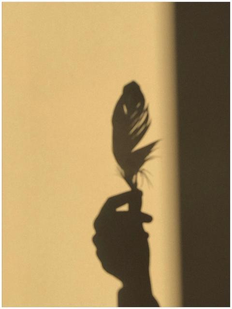 Shadow of a hand holding a feather against a warm