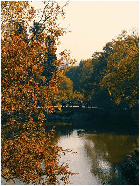A peaceful autumn scene with a bridge over a calm