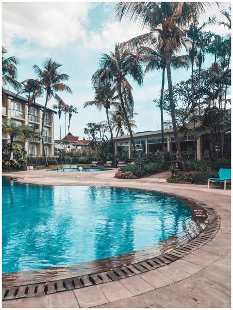 Explore a tranquil tropical resort with palm trees