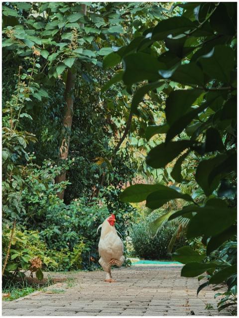 Processed with VSCO with c9 preset