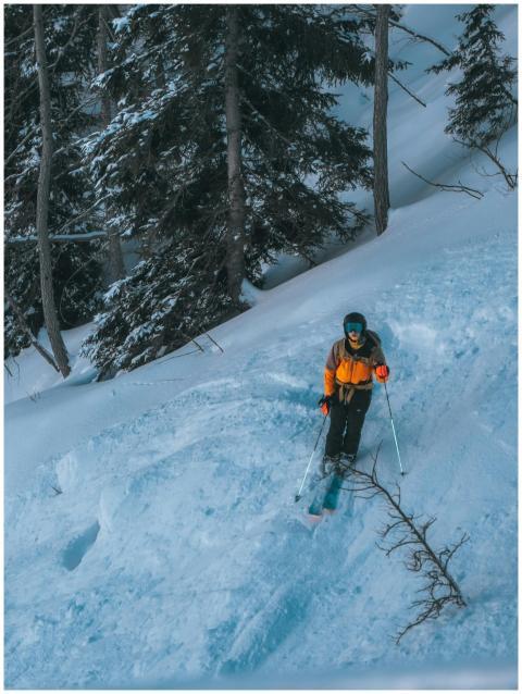 A skier enjoys a thrilling descent on a snowy moun