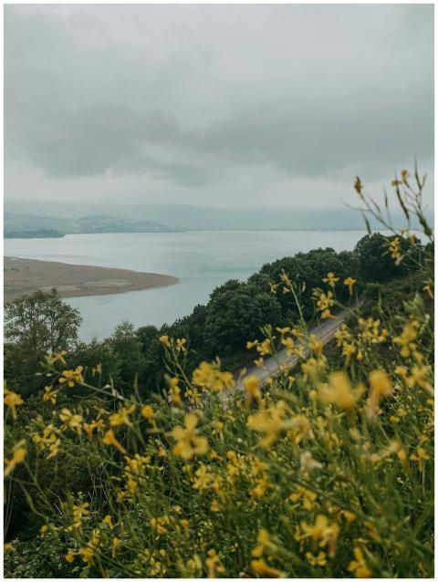 Breathtaking lakeside scenery with yellow wildflow