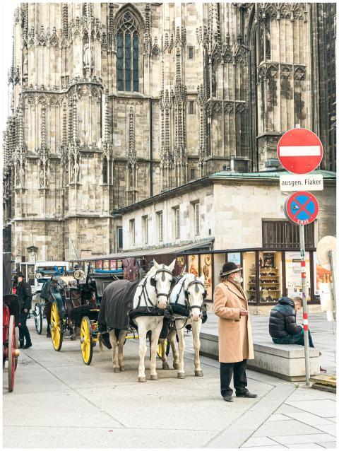 A horse-drawn carriage awaits passengers in vibran