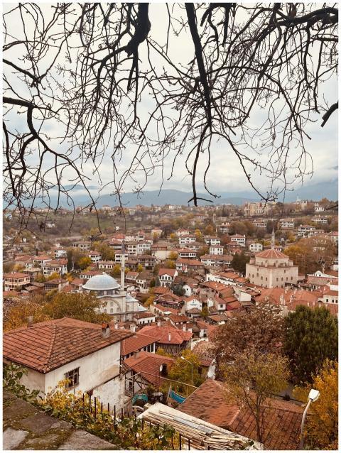 Picturesque view of a historic townscape with red
