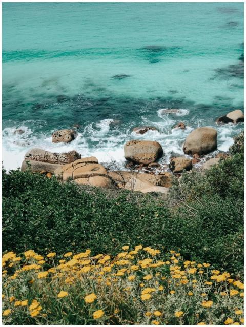 Captivating coastal scene featuring turquoise wate