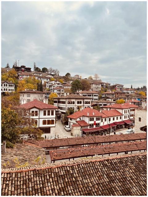 Classic Ottoman architecture in a hillside town wi