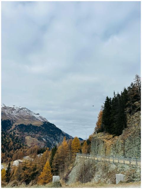 Autumn Mountain Landscape Road