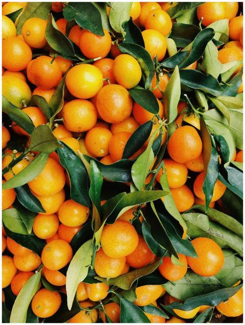 A vibrant pile of fresh tangerines with green leav