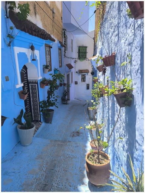 Vibrant blue streets with potted plants in Chefcha