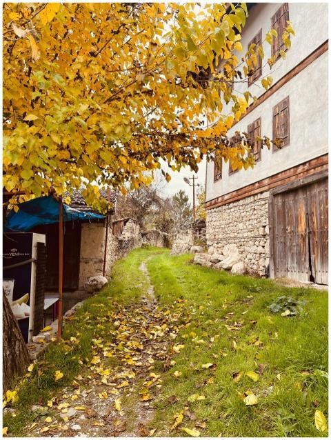 Charming rural scene with autumn leaves and stone