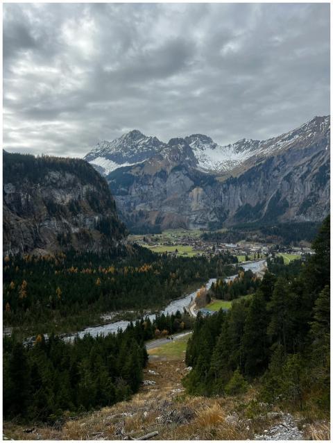 Breathtaking view of alpine mountains, forest, and