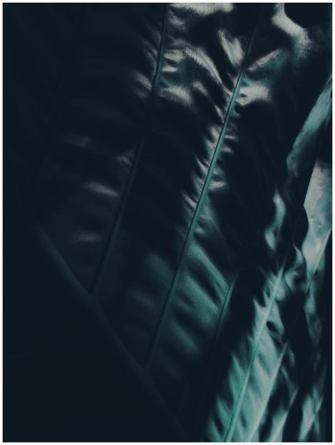 Free stock photo of aesthetic, chiaroscuro, dark