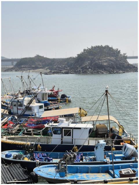 Colorful Fishing Boats Peaceful