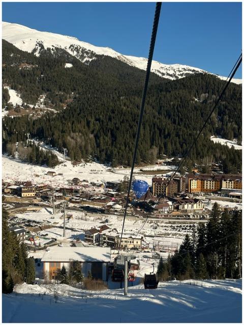 Scenic Mountain Ski Resort