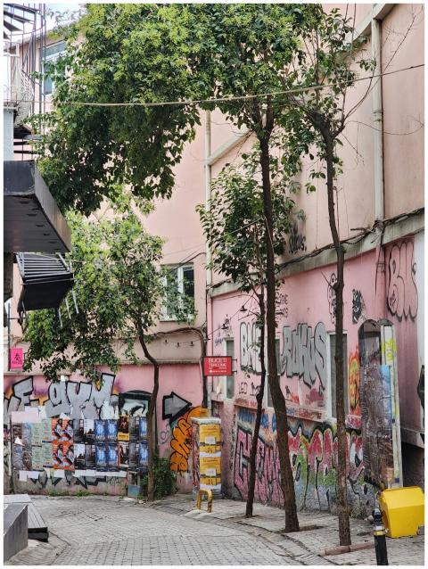 Colorful graffiti alleyway with trees in Istanbul,