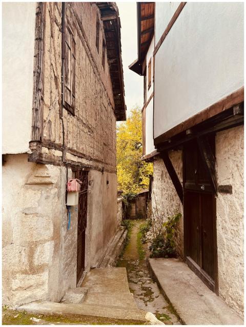 Charming alley with rustic wooden buildings, showc