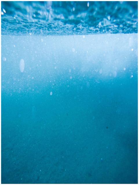 Discover the serene beauty of Cape Town's ocean de