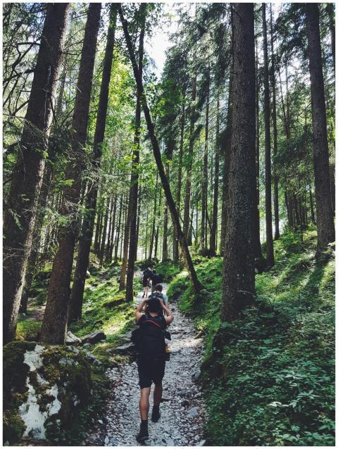 Hikers explore a lush forest trail in Garmisch-Par