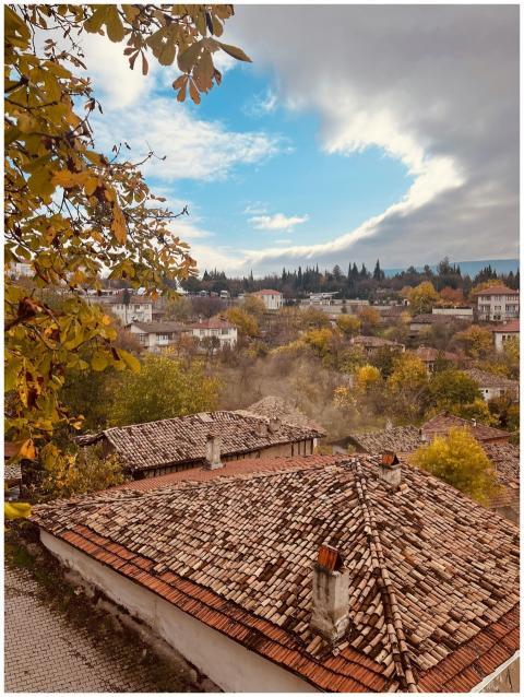 Charming Village Rooftops Autumn