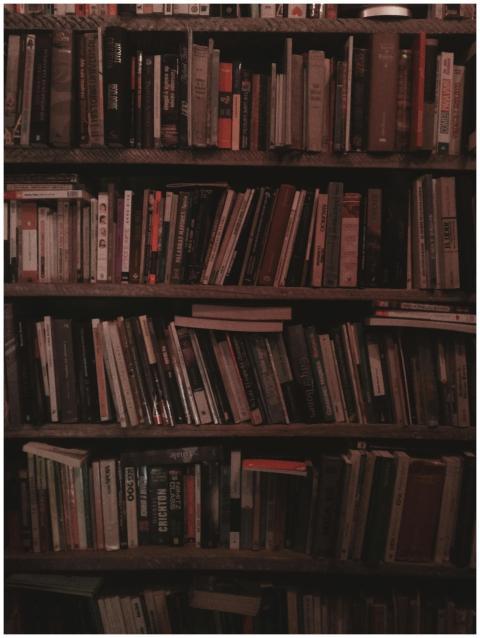 A warmly lit bookshelf filled with assorted books