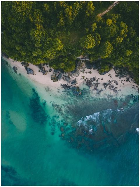Stunning aerial view of a pristine beach in Bali w