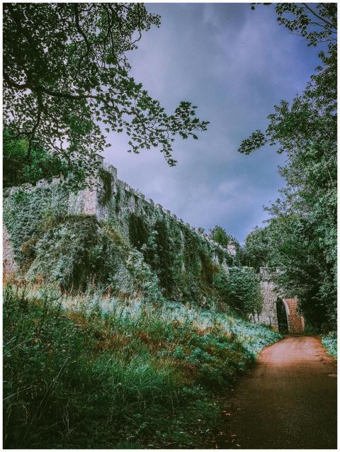 Ancient moss-covered castle ruins along a forest p
