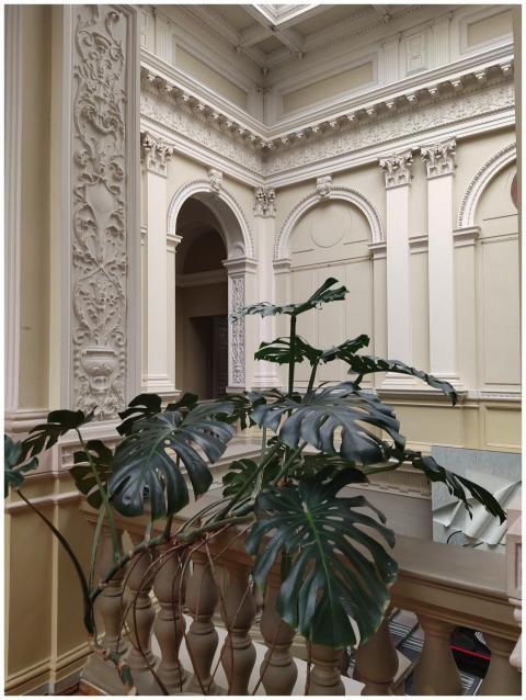 A detailed view of a historic building's ornate in