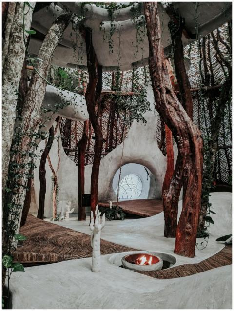 An artistic indoor space featuring natural wood be