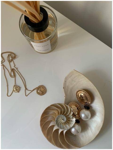 Still life of elegant jewelry arranged in a nautil