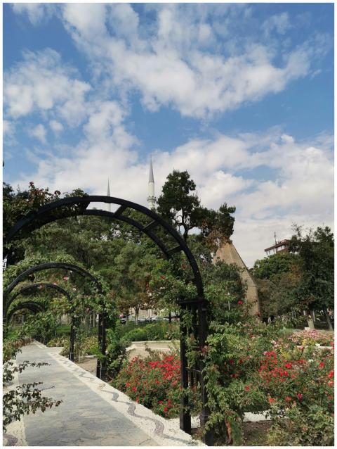 A scenic garden pathway with a floral archway and