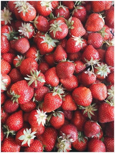 A vibrant close-up of fresh, juicy red strawberrie