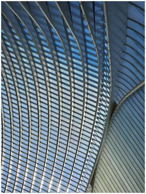Abstract view of the curved glass and steel struct