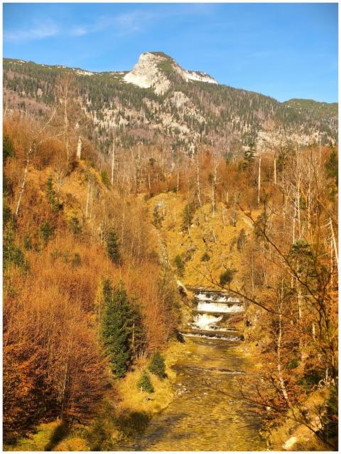 Tranquil Autumn Landscape Mountain