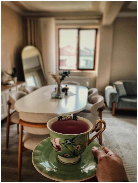 Cozy Living Room Decorative