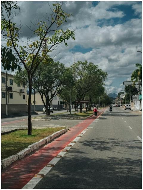 Urban street view with trees, bicycle lane, and pe