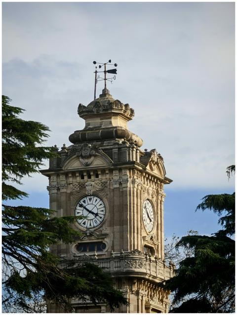 A historic clock tower surrounded by lush trees un