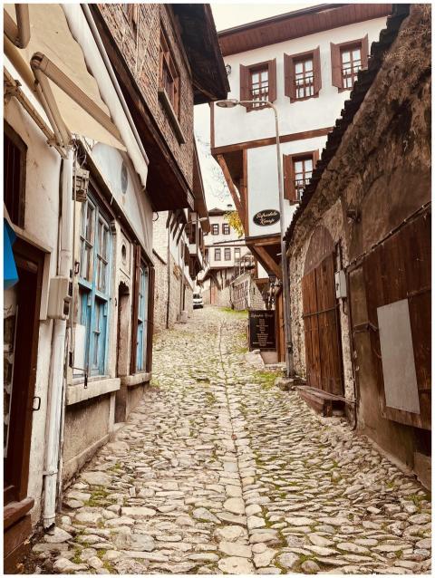 Discover a quaint cobbled street in a picturesque