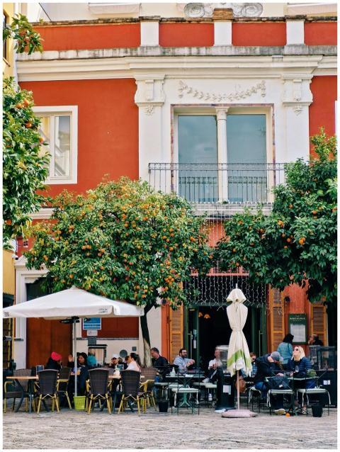 Quaint outdoor café in Seville, Spain, with orange