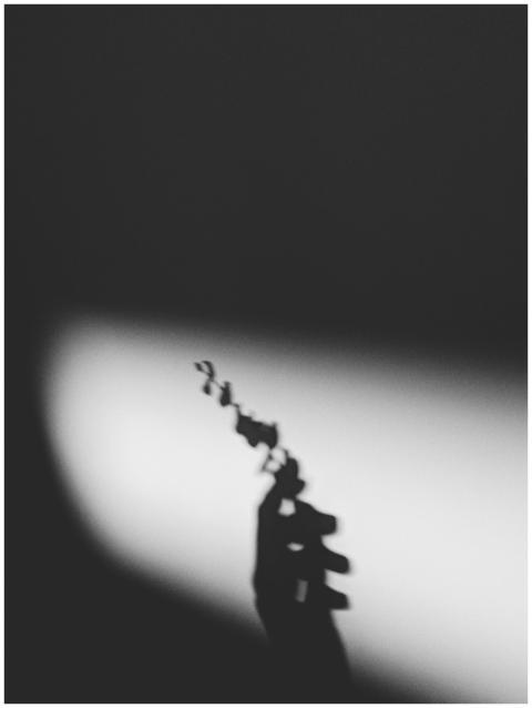 Artistic monochrome image of a silhouette hand hol