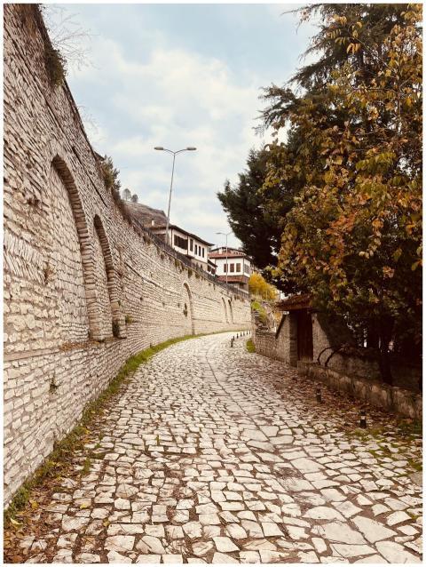 Charming stone pathway in a historic town with old