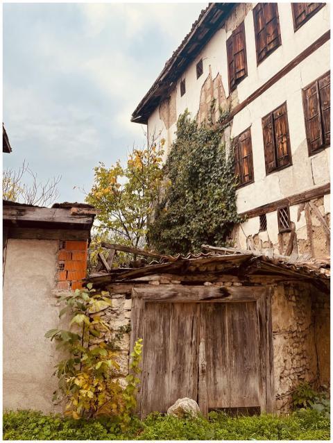 Old rustic house with ivy, weathered wood doors an