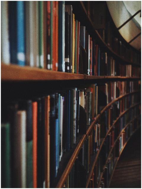 Warm-toned image of curved library bookshelves fil