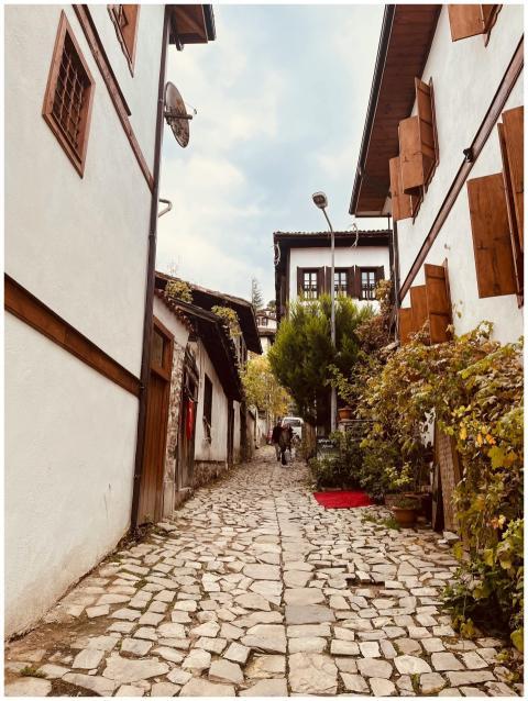 Quaint cobblestone street lined with charming old