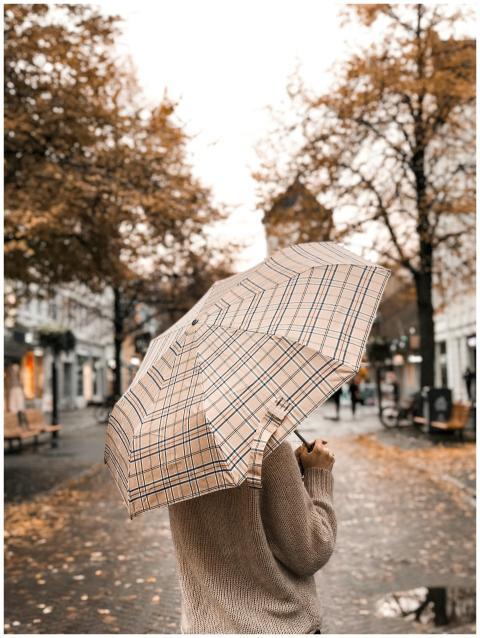 Person with umbrella strolling through a rainy str