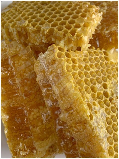 Detailed macro shot of fresh honeycomb dripping wi