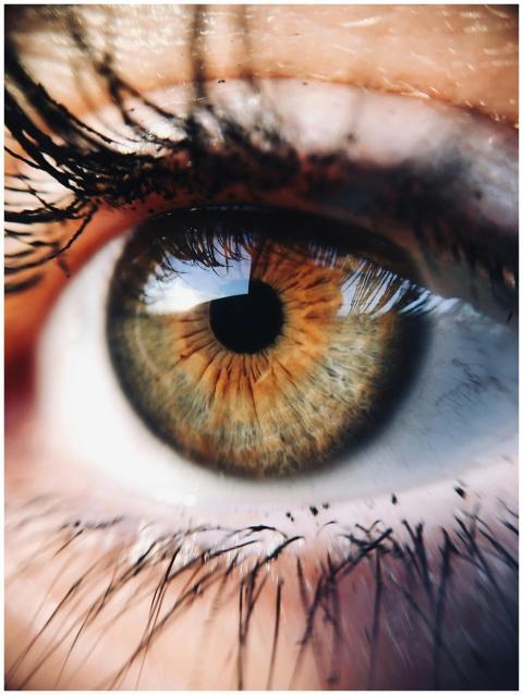 A detailed close-up image of a brown hazel human e