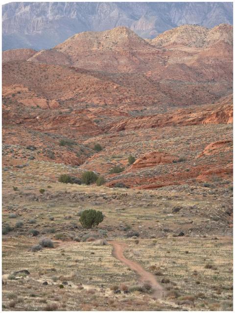Scenic Red Rock Desert
