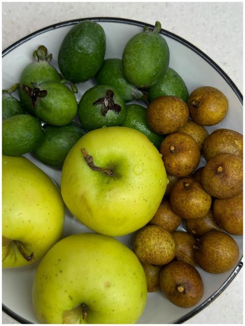 Vibrant mix of apples, feijoas, and longans in a b