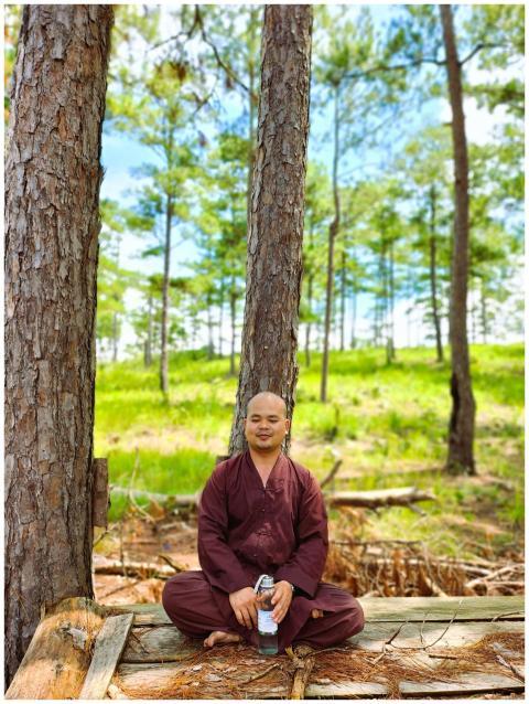 A man meditating peacefully in a lush green pine f